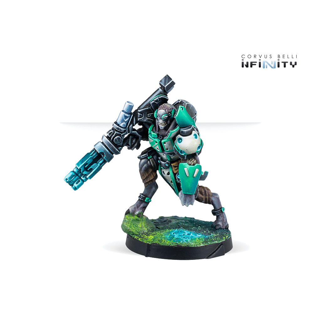 Infinity - NA2 - Chaksa Longarms