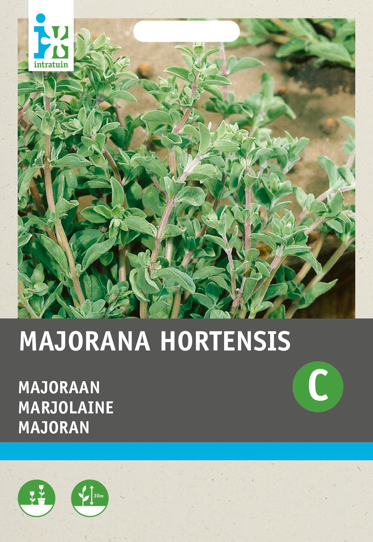 Intratuin kruidenzaad Marjolein (Origanum majorana)