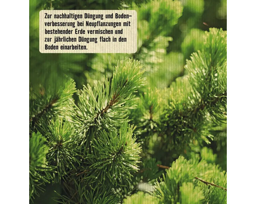 FloraSelf Nature BIORGA organische meststof voor coniferen en hagen, 1,5 kg