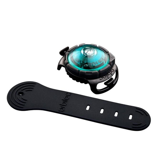 Orbiloc Sicherheitslicht Dog Dual Turquoise
