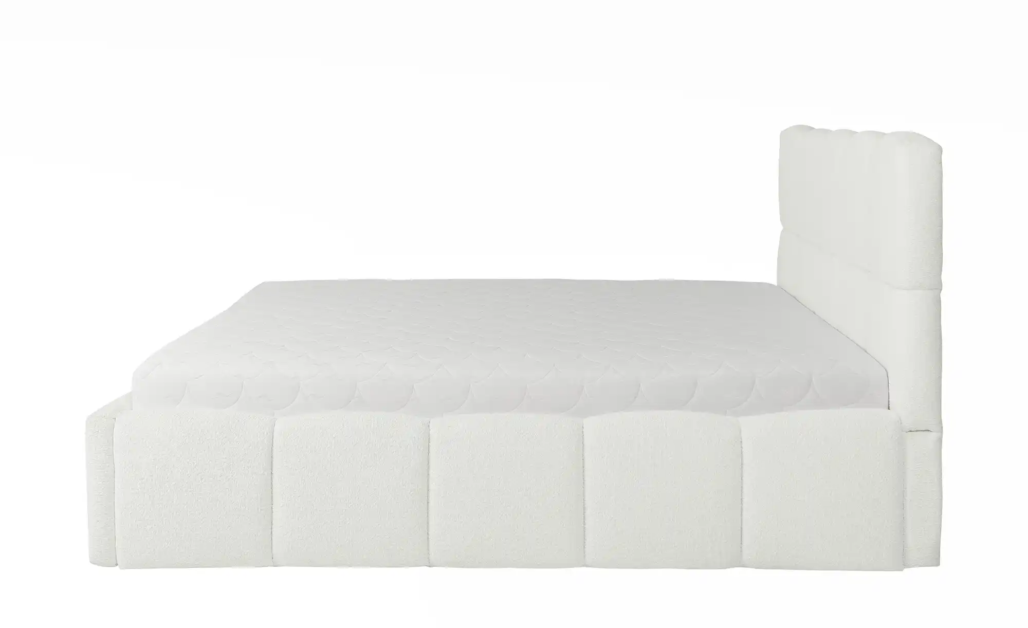 Polsterbett Cube Plus