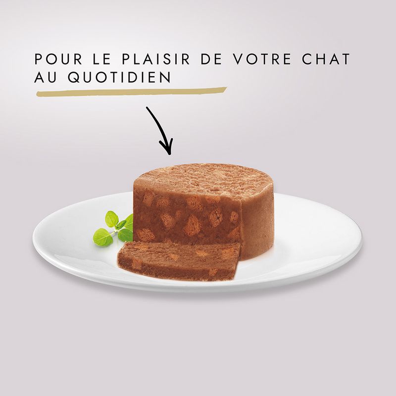 Gourmet Gold Les Terrines 12 x 85 g
