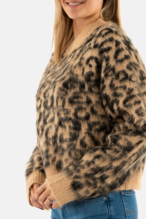 Pull hiver la petite etoile may 13-beige/noir