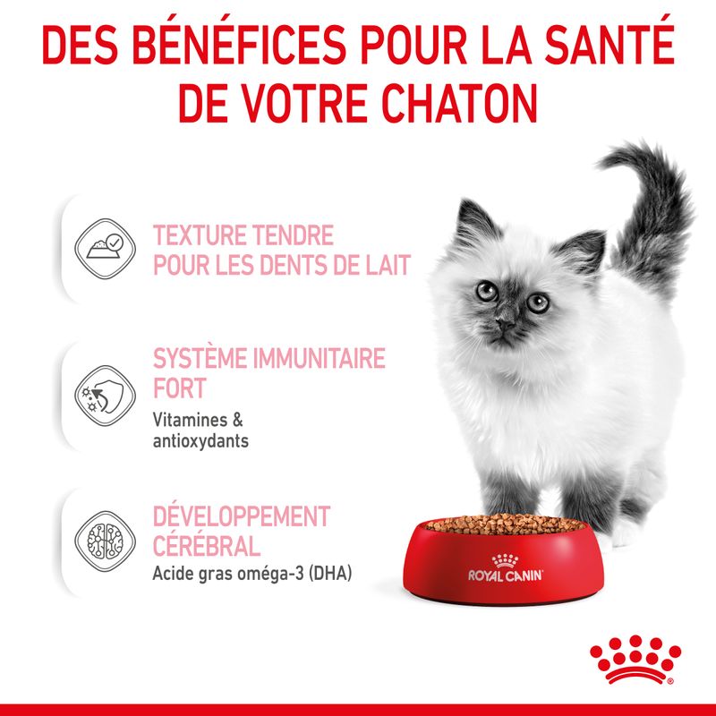 Royal Canin Kitten en sauce pour chaton