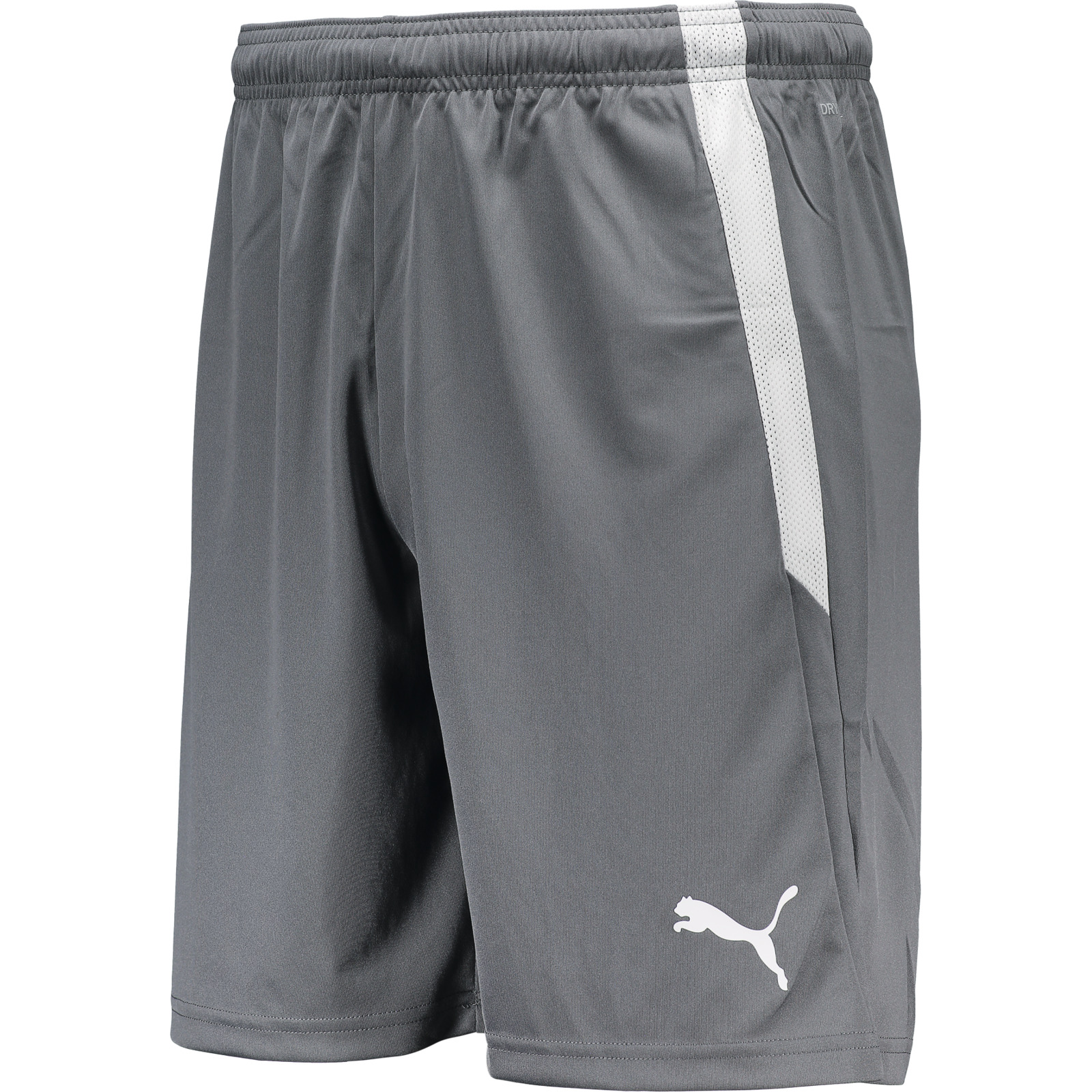 Puma Herren-Shorts team Liga S, grau