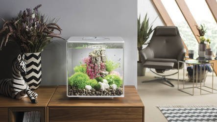 biOrb Cube 30 MCR Wit | Aquarium