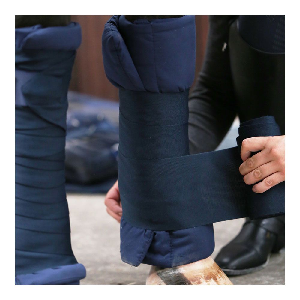 Kentucky AMERICAIN - Flanelle x4 bleu