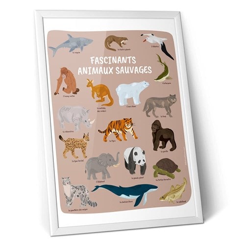Affiche nature - 18 animaux à protéger