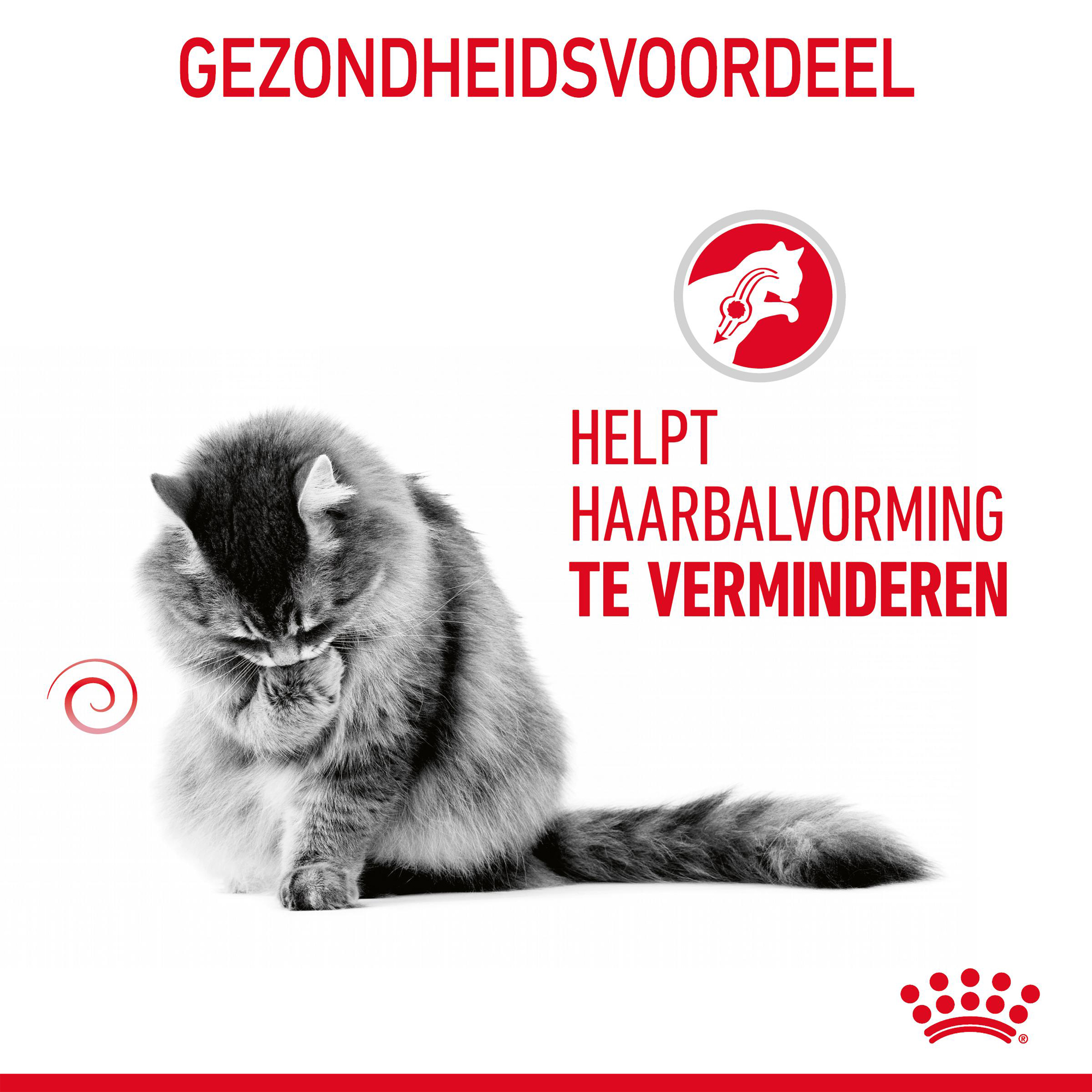 Royal Canin Hairball Care in Gravy - Kattenvoer