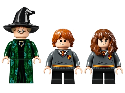 LEGO Zweinstein™ Moment: Transfiguratieles (76382)