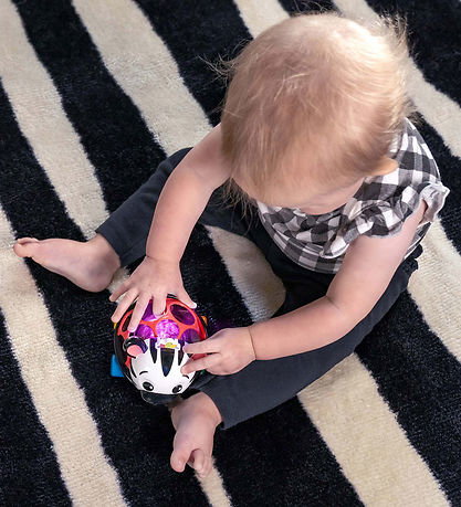 Baby Einstein Aktivitetsleget?j - Zen Oball K?ret?j