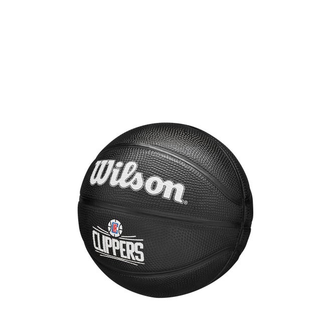 NBA Team Tribute Mini Basketball