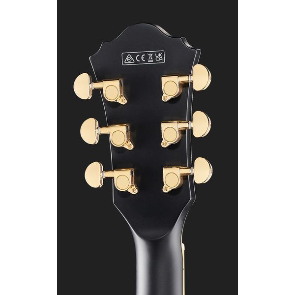 Ibanez AS73 G BKF