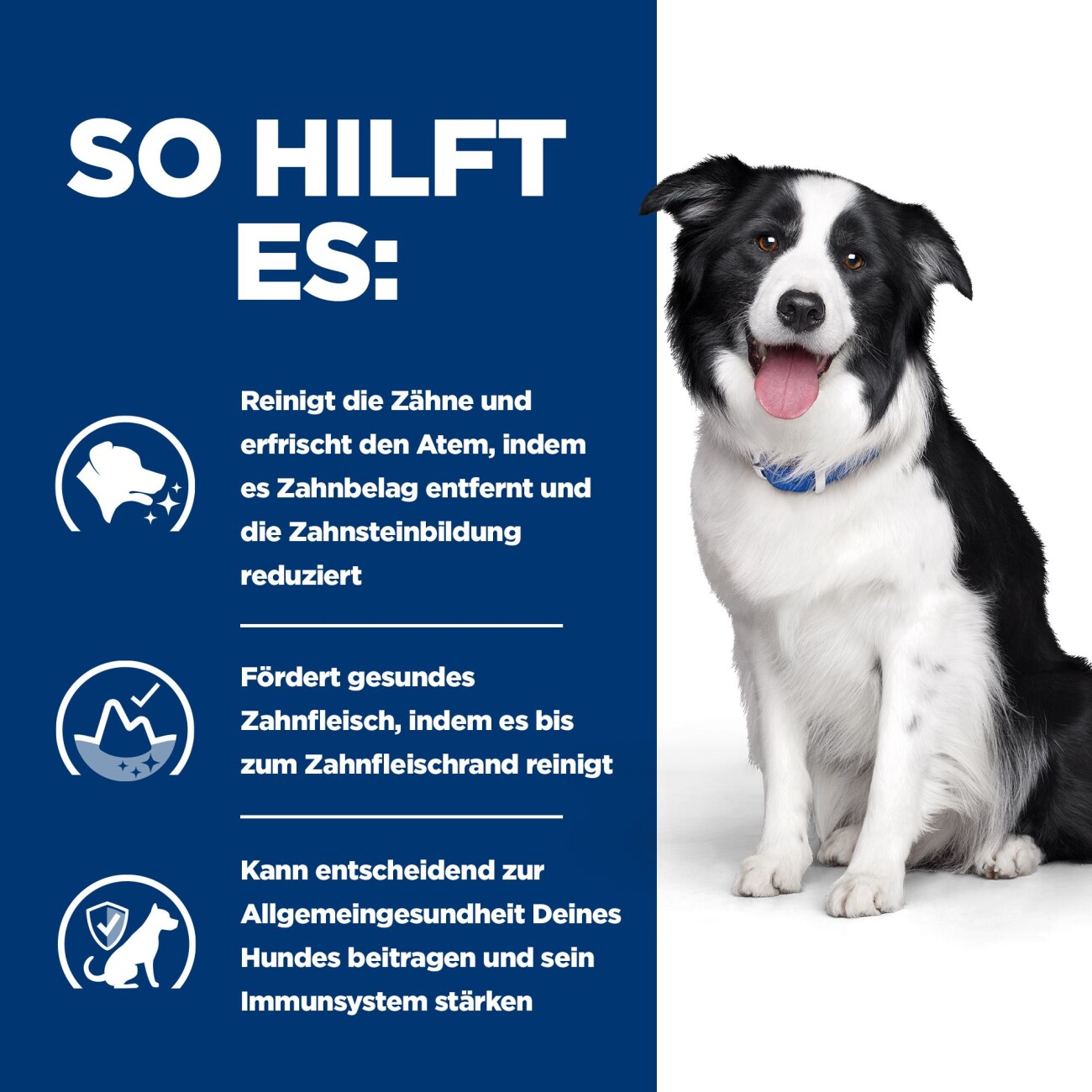 Hill's Prescription Diet t/d Futter zur Zahnreinigung 10 kg