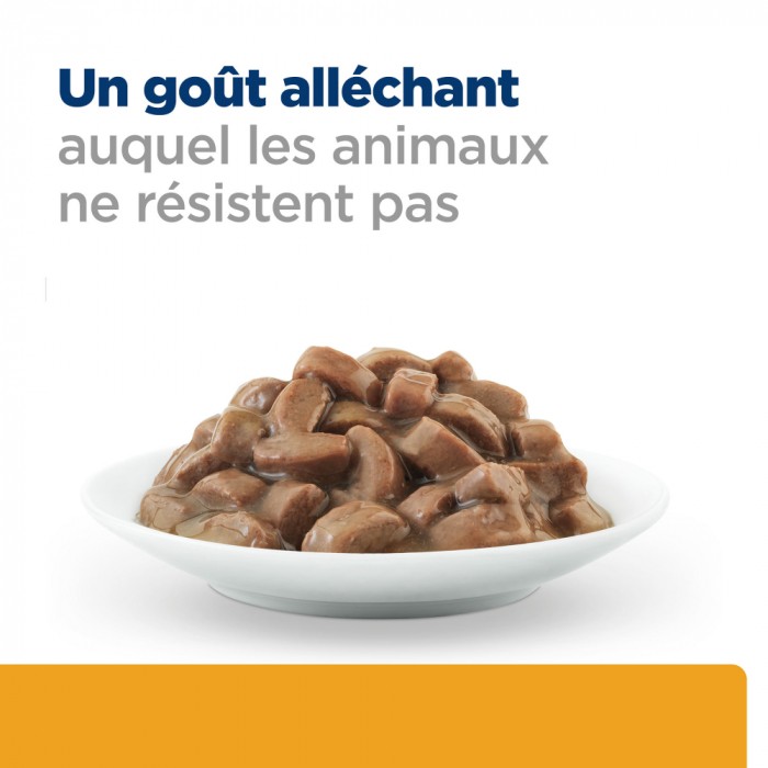 HILL'S Prescription Diet c/d Urinary Care Multicare en Sachets - Pâtée pour chat