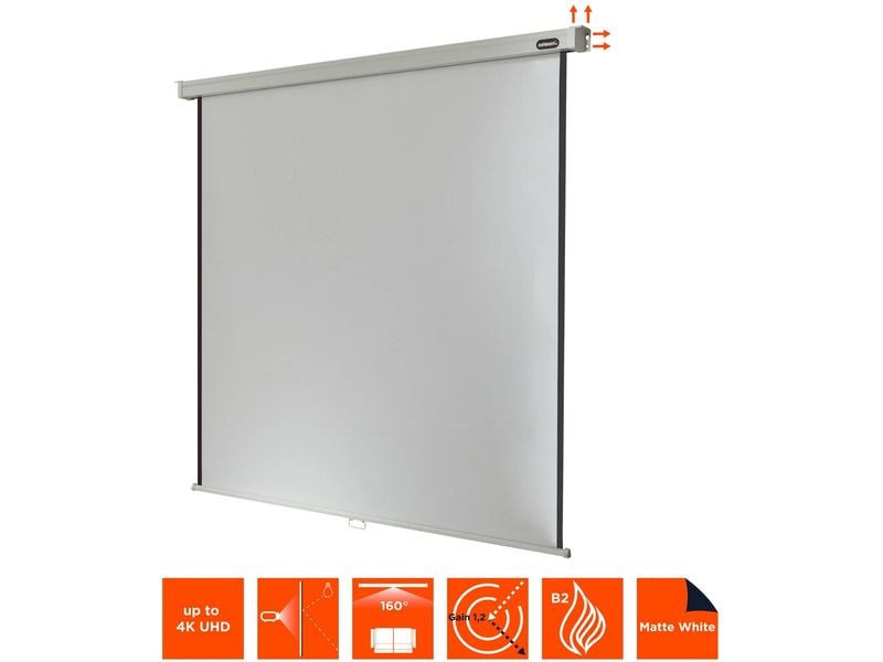 Celexon Rollo-Leinwand Pro 160x160cm 1:1 Leinwand Rollo Professional 160 x 160 cm