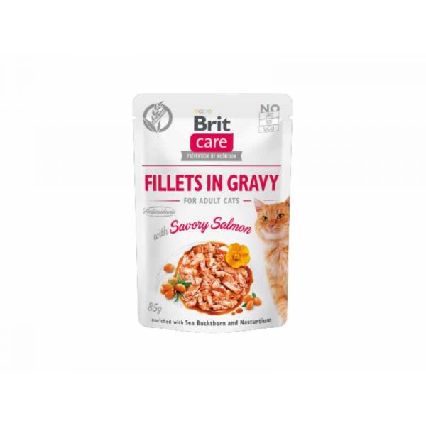 Ração Húmida Brit Care Tender Turkey & Savory Salmon In Gravy 1x85g