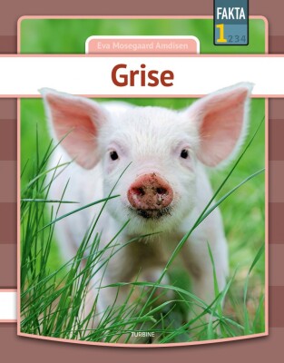 Grise - Eva Mosegaard Amdisen - Bog