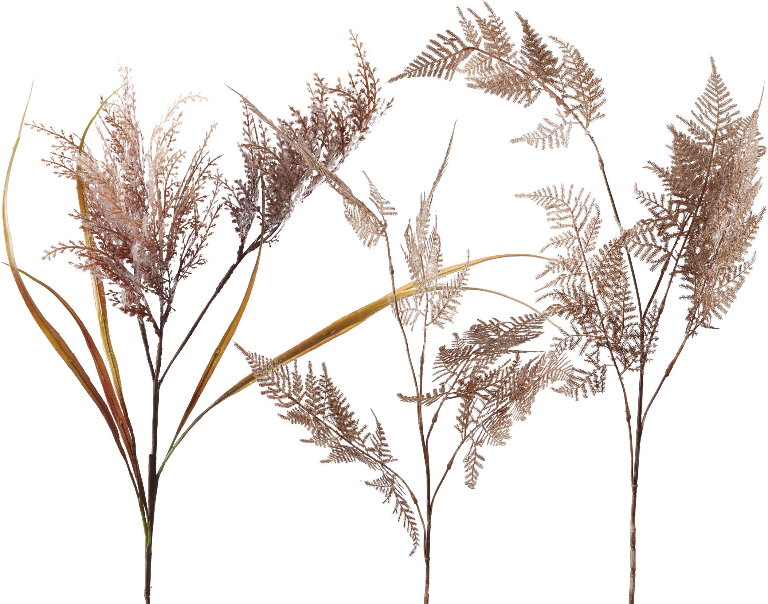 Pampas 2024 Kunstig plante 95 x 24 cm