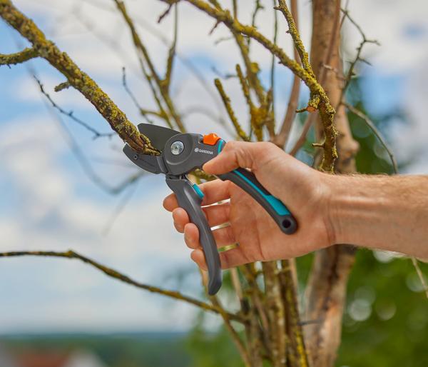 GARDENA Gartenschere PremiumCut Pro Trockenes
