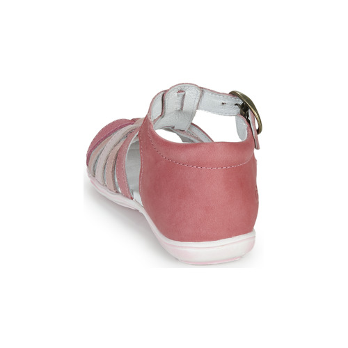 Citrouille et Compagnie - RINE - Rose / Multicolore