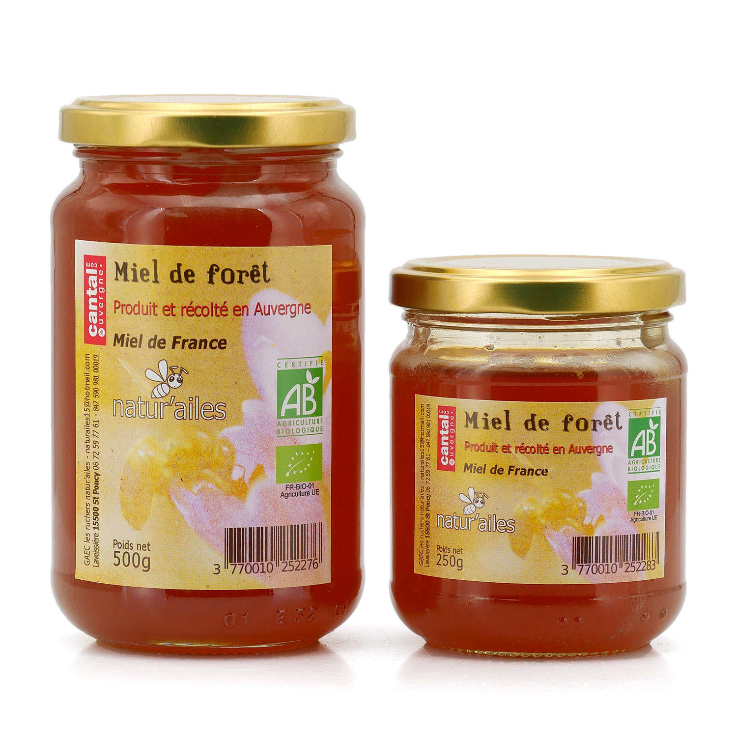 Miel de forêt bio du Cantal