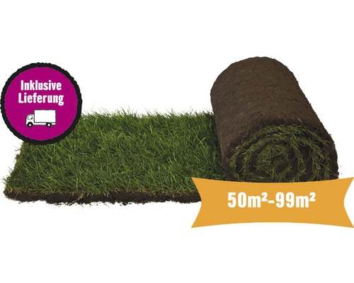 Premium gerold graszoden, bestelhoeveelheid 50 - 99 m², dagelijks vers gesneden