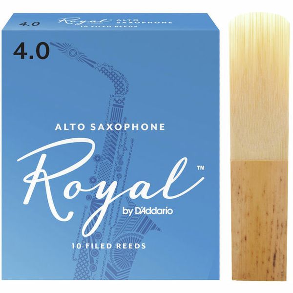 Daddario Woodwinds Royal Alto Sax 4