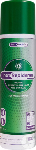 Intracare Intra Repiderma Spray De Protection Pour La Peau Aérosol 250ml