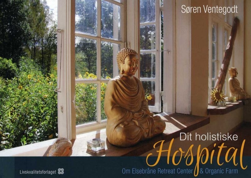 Dit Holistiske Hospital - Søren Ventegodt - Bog