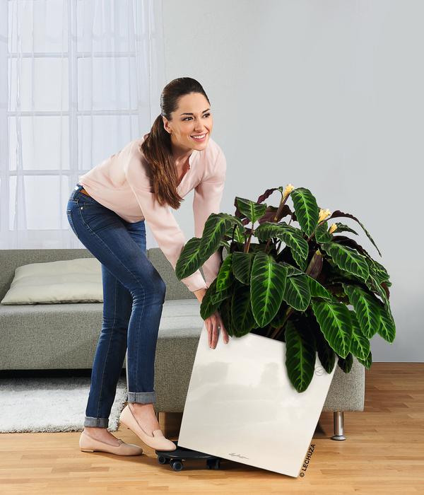 LECHUZA® Rolluntersetzer für CLASSICO/QUADRO