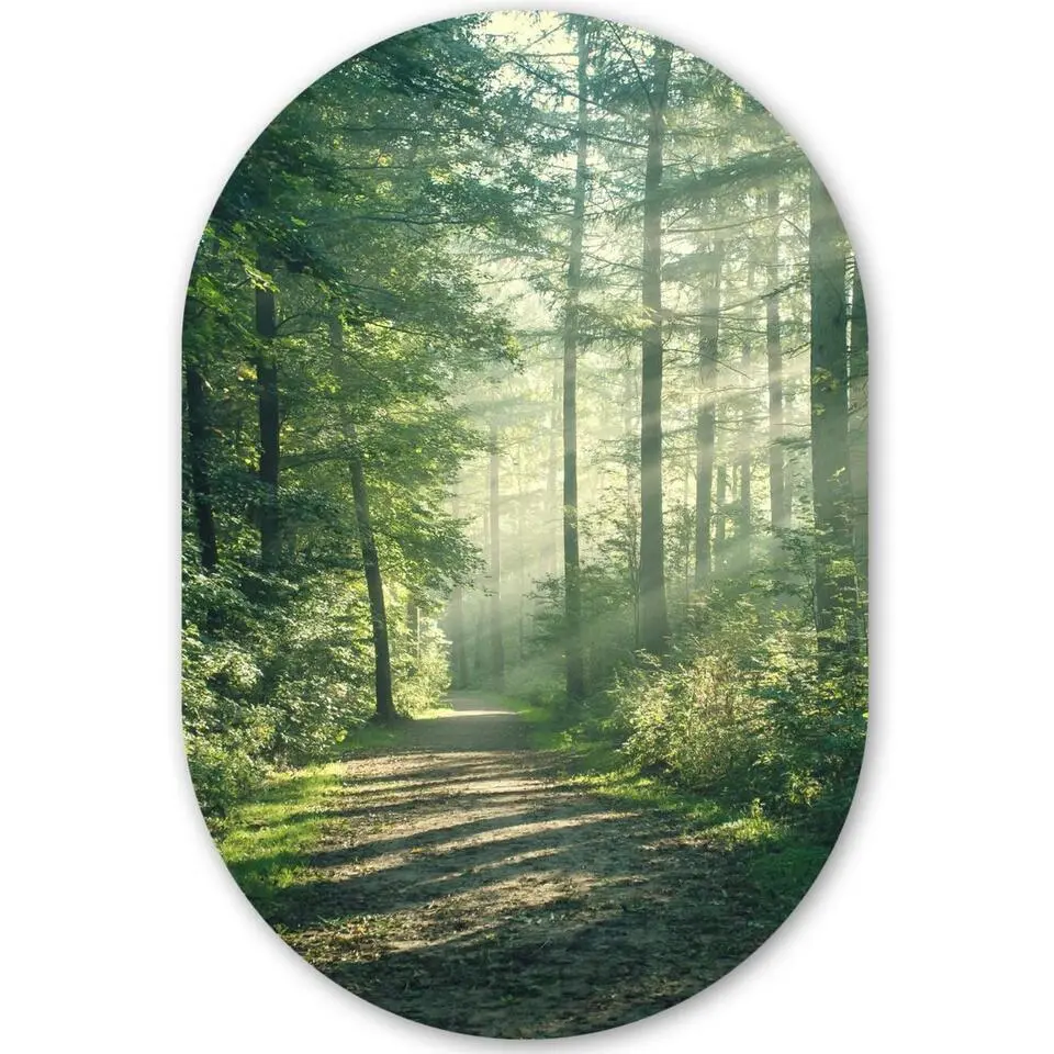 MuchoWow Wand decoratie 40x60cm Bos Pad Zon Bomen Groen
