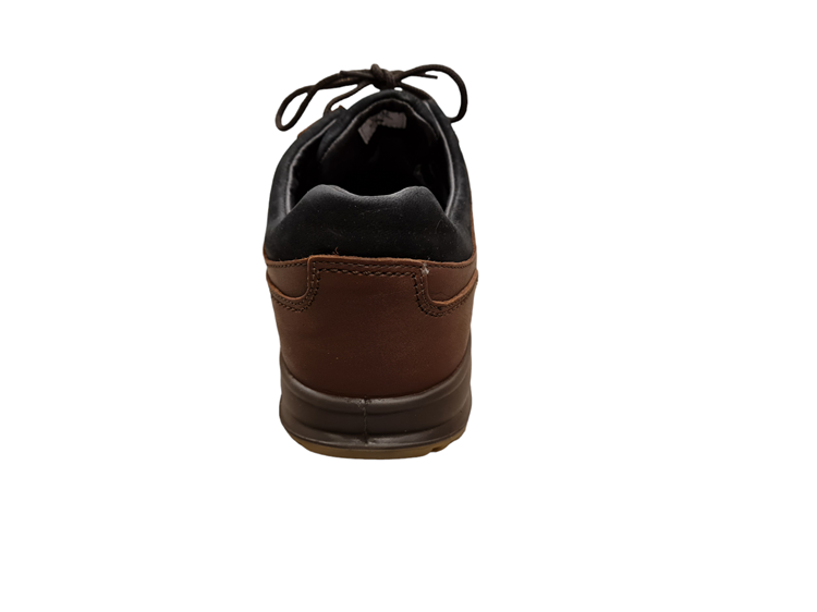 8629 Brown