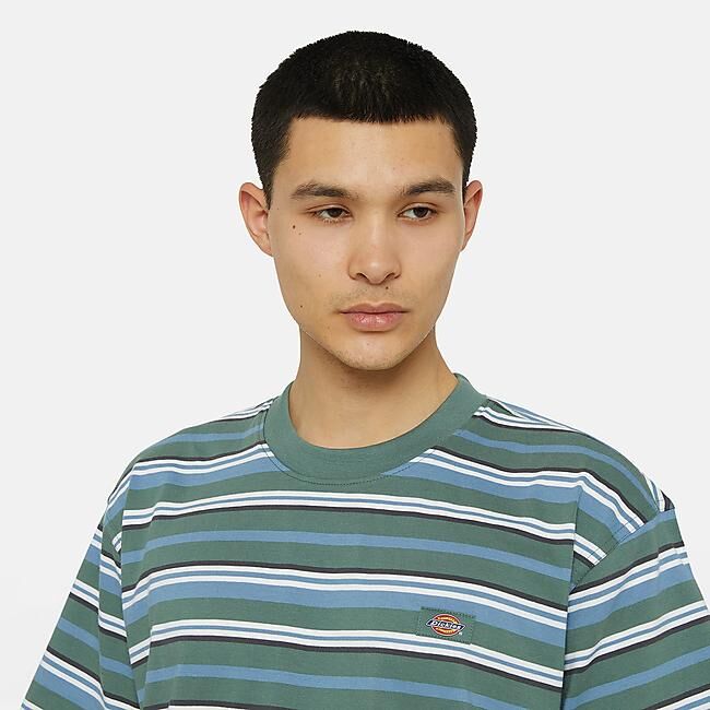 DICKIES - T-SHIRT MC GLADE SPRING TEE