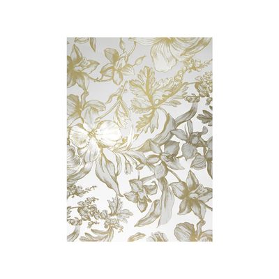 Clairefontaine Premium - Papier cadeau - 70 cm x 2 m - 80 g/m² - disponible dans différents motifs
