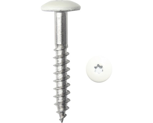Gevelschroef, platbolkop met I-Star-aandrijving, 5,5 x 45 mm, roestvrij staal A4, zuiver wit, 100 stuks