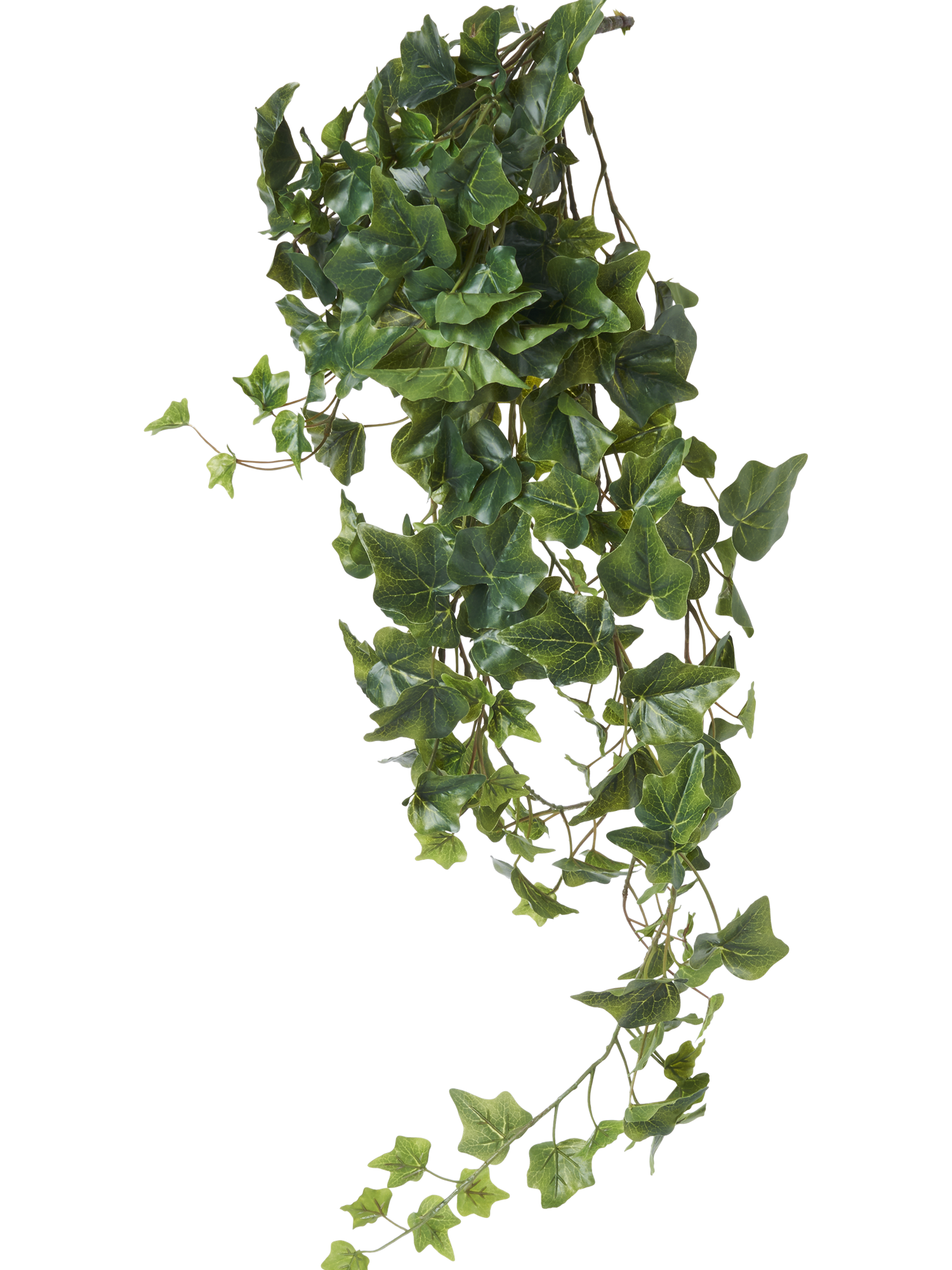 Kunstig efeu | Plastik. 80 cm. | Moss Green | Bloompost