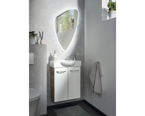 LED badkamerspiegel FACKELMANN Spiegels Organic 89x55 cm met omringende LED's IP 20