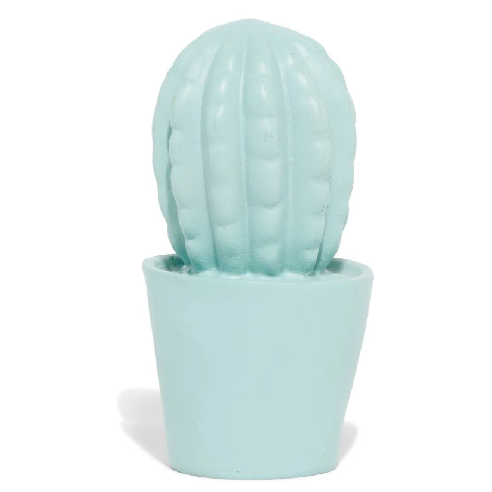 Décoration pot cactus