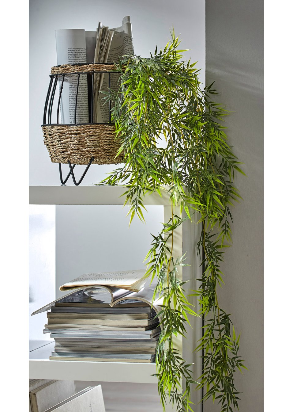 Bambou décoratif