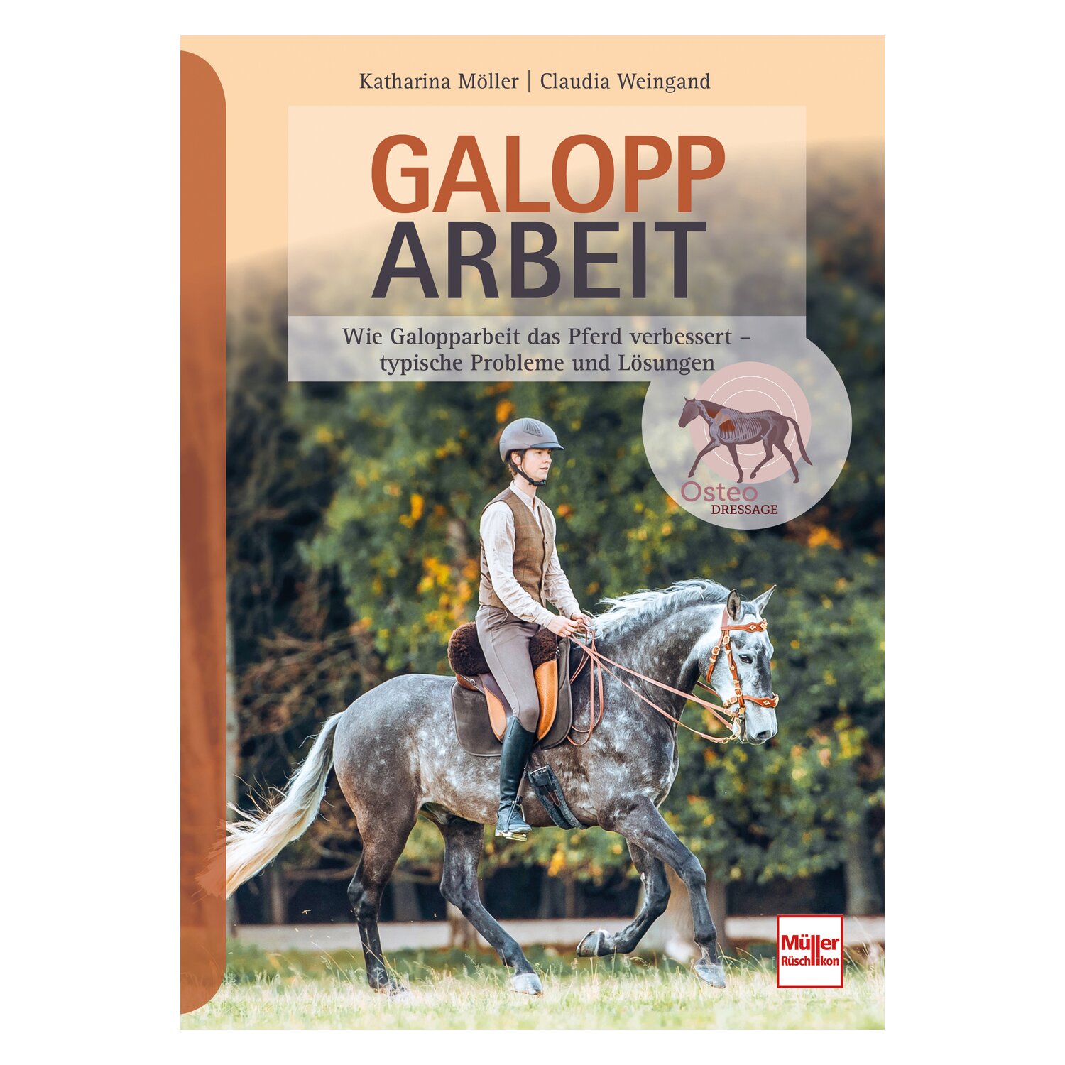 Galopparbeit - Wie Galopparbeit das Pferd verbessert