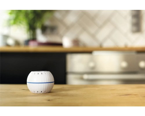Shelly H&T witte Wi-Fi vochtigheids- en temperatuursensor