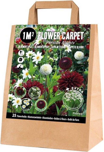 Florex bloembollen 1M² Bloementapijt Persian nights 25 stuks