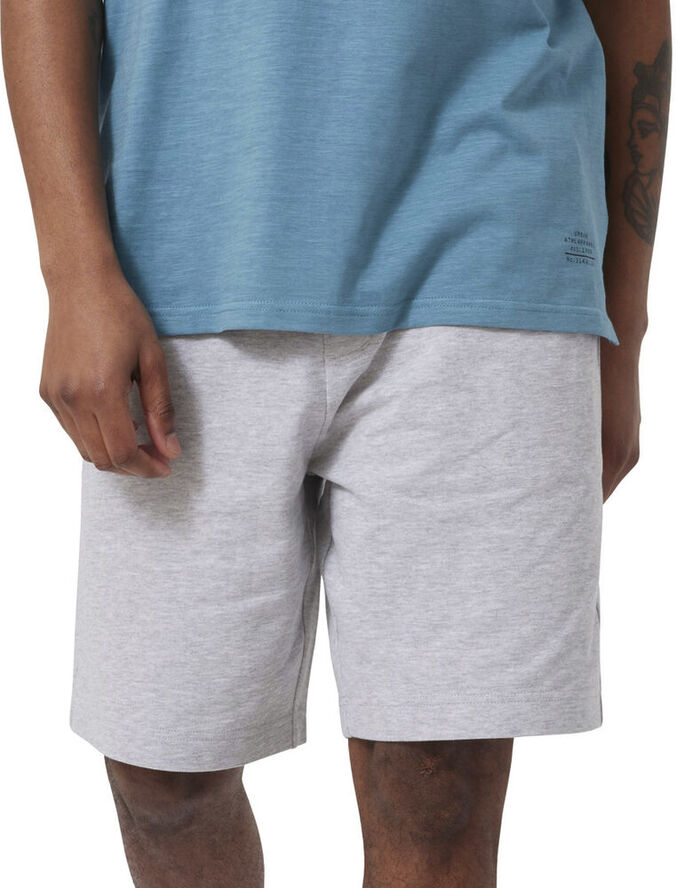 Firefly Nolan shorts Grå