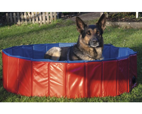 Hondenzwembad maat M Ø 120 cm rood-blauw