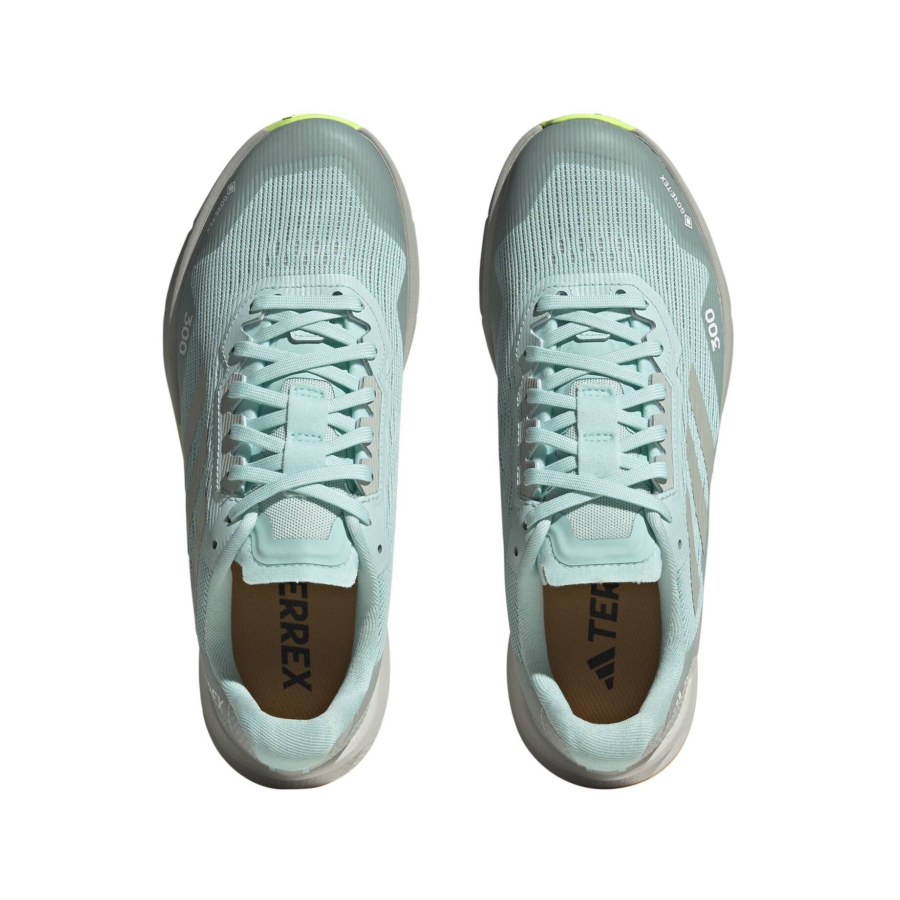 adidas Terrex| Damen Trailrunningschuhe TERREX AGRAVIC FLOW 2 GORE-TEX