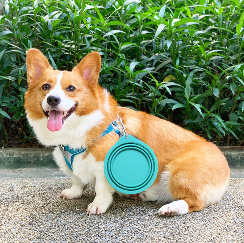 Faltbarer Silikon Hunde Napf Reise Wasser Schale mit Karabiner Haken - Grau