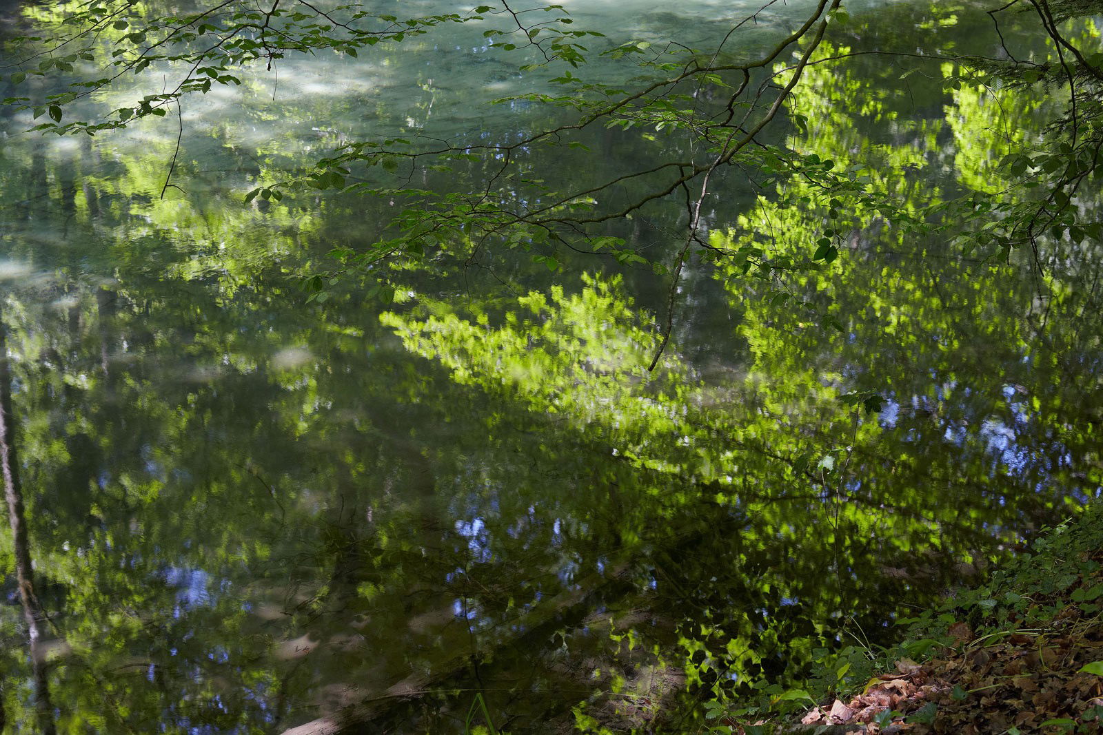 Enchanted Waters VI by Juraj Lipscher - Limited Edition. Edition of: 100. Signed.