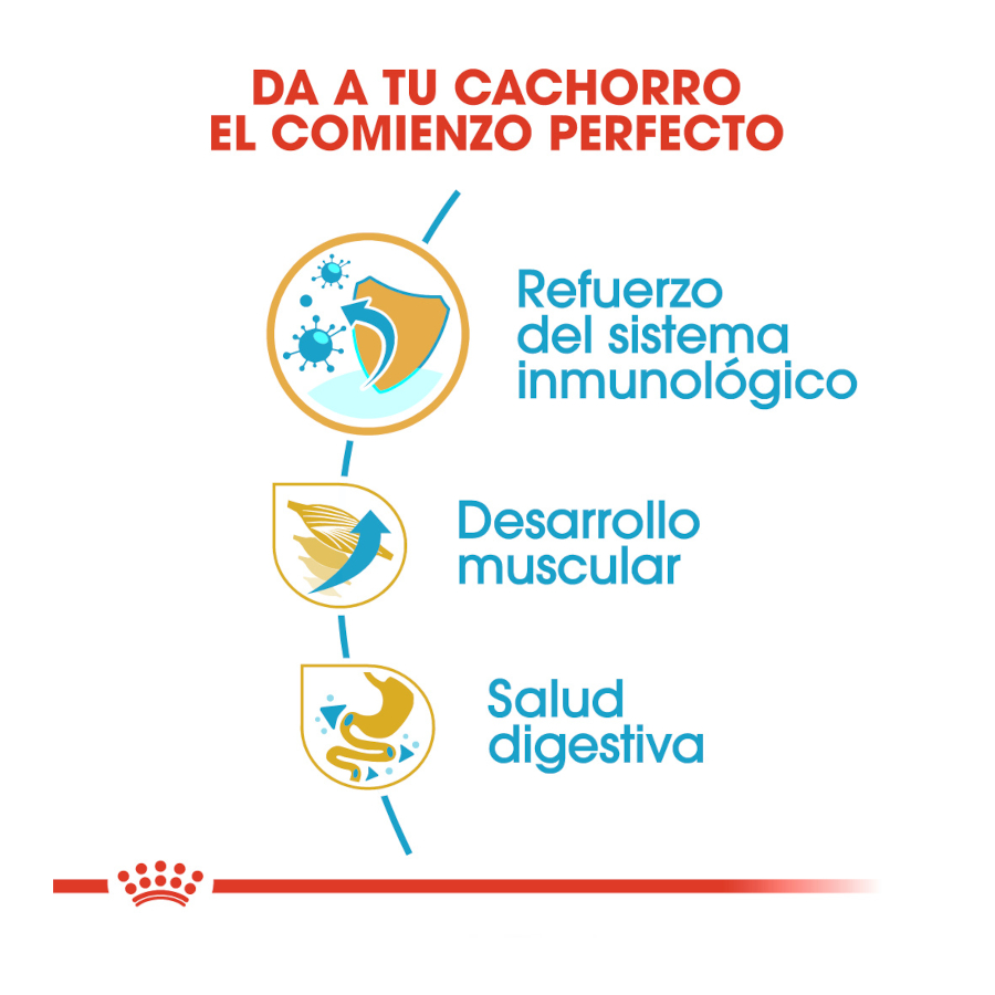 Ração Royal Canin Puppy Boxer para cães