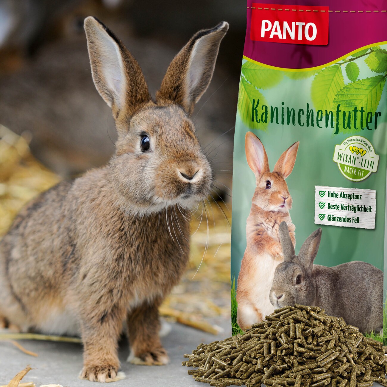 Panto KANIN BASIS (ZUCHT UND MAST) 25kg